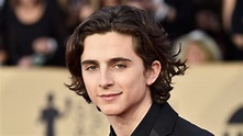 Timothée Chalamet Wiki, Bio, Age, Net Worth, and Other Facts - Facts Five