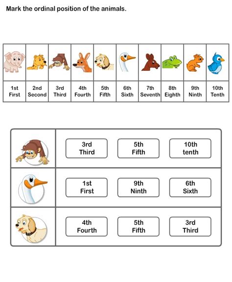 Free Ordinal Number Worksheets | Print Free Worksheets | Ordinal