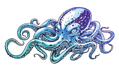 Blue Octopus Vector Art 284135 Vector Art At Vecteezy