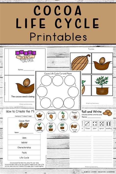 Cocoa Life Cycle Printables Simple Living Creative Learning