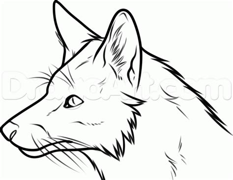 How to draw a fox head. How To Draw A Fox Head by Dawn | Drawings, Online drawing ...