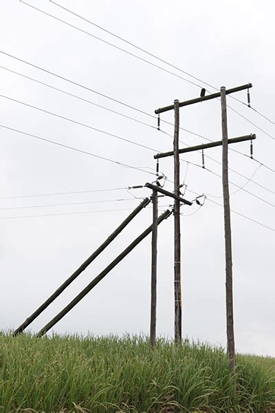 Transmission Poles Electricity Or Telecommunications Lctt