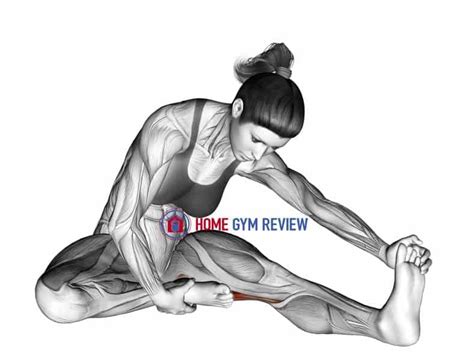 Seated Single Leg Hamstring Stretch Home Gym Review