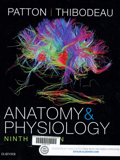 Anatomy And Physiology Kevin T Patton Gary A Thibodeau 9th Ed St