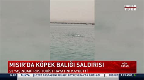 Mısır'da köpek balığı saldırısı sonrası Rus turist öldü | Video