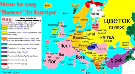 Leere europakarte zum ausdrucken pdf pdf formulare online drucken pdfs online ändern drucke. Landkartenblog: Die Europakarte der Blume - Das sagt Europa zu dem Wort "Blume"