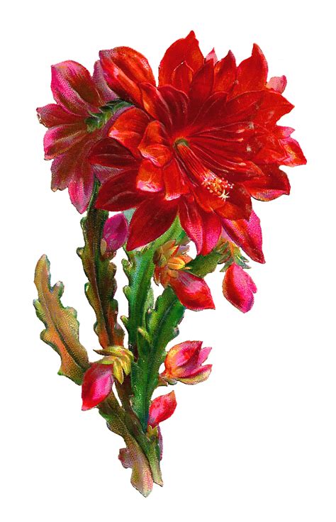 Antique Images: Free Digital Flower Scrap: Beautiful Red Flower Clip Art