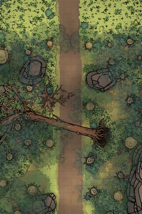 Forest Road 3 Scenic View And More In Comments Battlemaps Dnd
