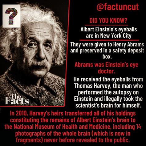Fact About Albert Einstein S Brain And Eye Ball Albert Einstein Facts