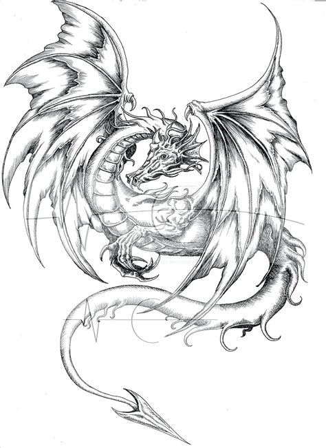 Real Dragon Coloring Pages At Getdrawings Free Download
