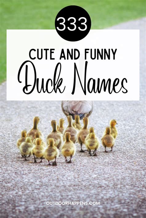 333 Duck Names Cute And Funny Youll Be Quackin Up Pun