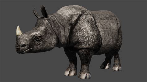 Rhino 3d Model By Petar Doychev