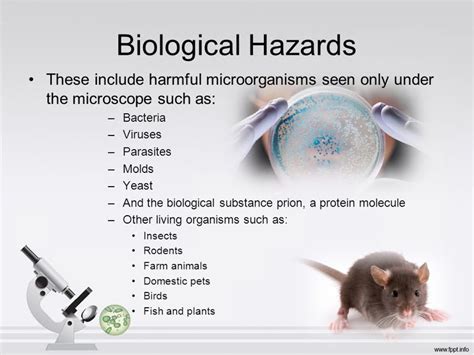 What Are Biological Hazards Rapid Response