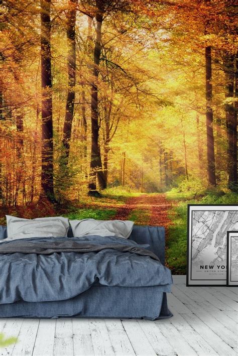 Autumn Forest 2 Wall Mural Wallpaper Bedroom Wall Paint Bedroom