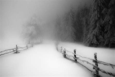 Landscape Nature Winter Morning Snow Forest Fence Cold