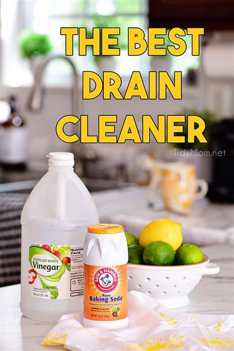 How To Clean Drains Naturally Agencypriority21