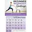 Beginner Workout Plan And Calendar