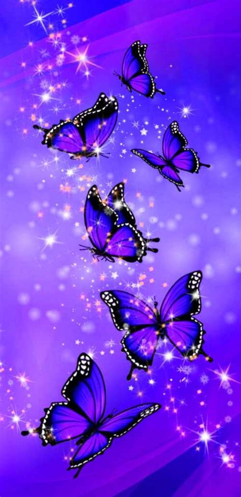 Purple Butterfly Wallpaper Ixpap