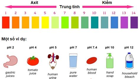 Làm thế nào để kiểm tra độ pH của nước Karofi com