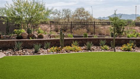 5 Stunning Desert Landscaping Ideas Arizona People Should Try