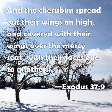 Exodus 379 And The Cherubim Spread Out Their Wings On High And