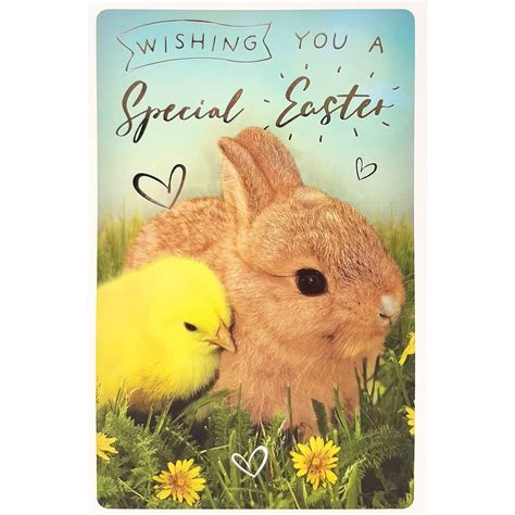 Hallmark's easter greeting cards offer something for any recipient, starting with baby's first easter and tons of cards for kids, including favorite characters from disney, peanuts® and more. Chick & Bunny - Easter Card | Greeting Cards - B&M