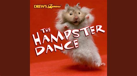 The Hampsterdance Song Youtube