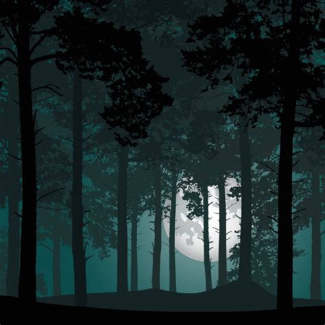 Dark Woods Illustrations Royalty Free Vector Graphics And Clip Art Istock