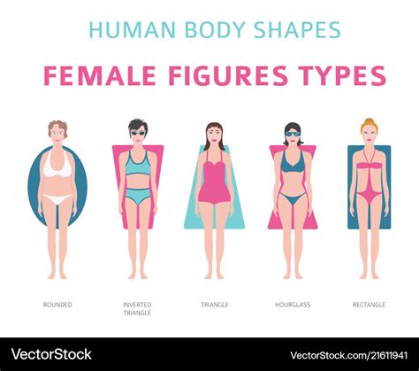 Human Body Shapes Female Figures Types Set Vector Image
