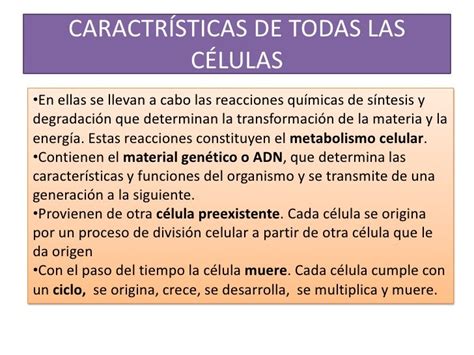 Cuáles Son Las Características De Las Células Consejos Celulares