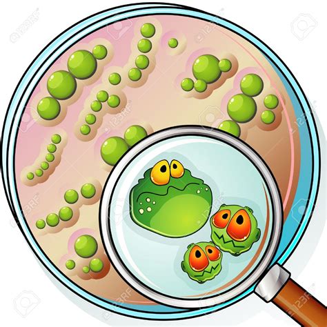 Bacteria Clipart Free Free Download On ClipArtMag