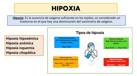 Hipoxia Y Sus Generalidades Apuntes De Nutrición Docsity