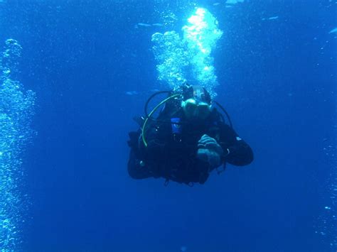 Ikion Diving Center Στενή Βάλα Ελλάδα Κριτικές Tripadvisor