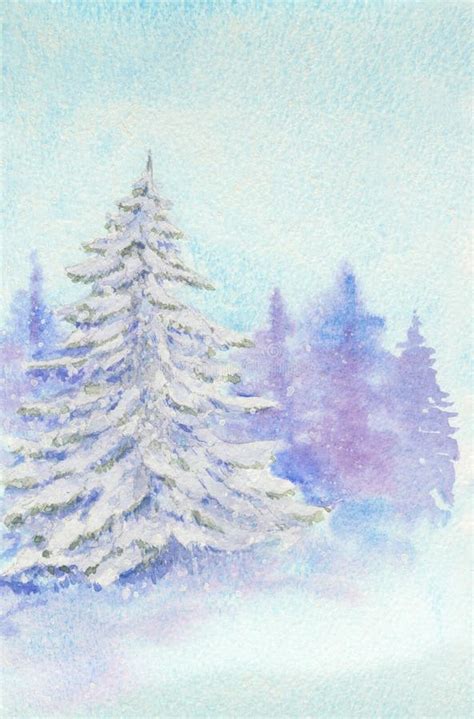 Spruce Christmas Trees In The Forest Watercolor Illustration Stock