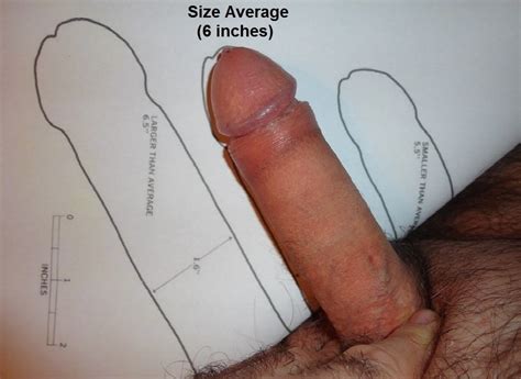 Different Erect Penis Sizes Xxx Porn