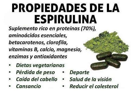 Beneficios De La Espirulina Para El Organismo Plantas