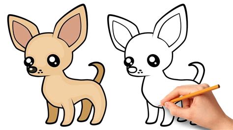 How To Draw A Chihuahua Youtube Chihuahua Drawing Dog Drawing For