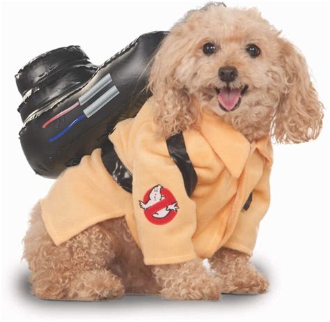 10 Best Dog Halloween Costumes Pawsify
