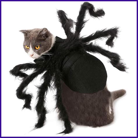 Spider Costume For Cats Simulation Party Dress Up Outfits For Dogs Cats