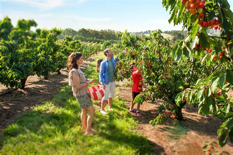 Cherryhill Orchards Go Beyond Melbourne