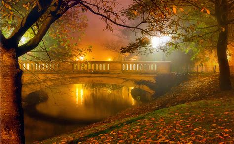 Misty Night In Autumn Park Hd Wallpaper Background Image 2048x1264