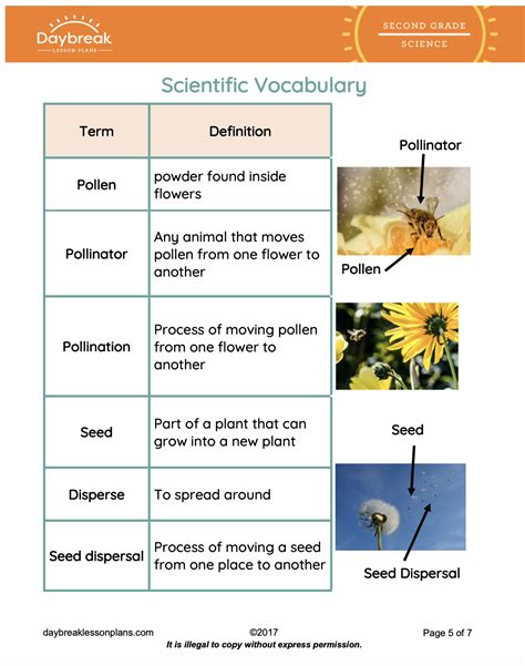 Life Science Pollination And Seed Dispersal Daybreak Lessons