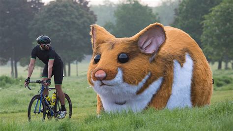 Pr Stunt Results In Giant Hamster Roaming Through London Abc7 San