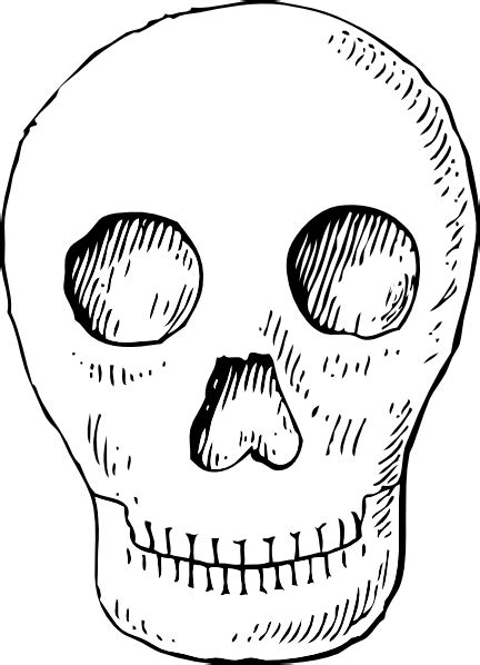 Skull Clipart For Kids Clip Art Library