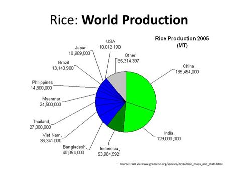 Ppt Grains Of The World Topic Rice Powerpoint Presentation Id6550987