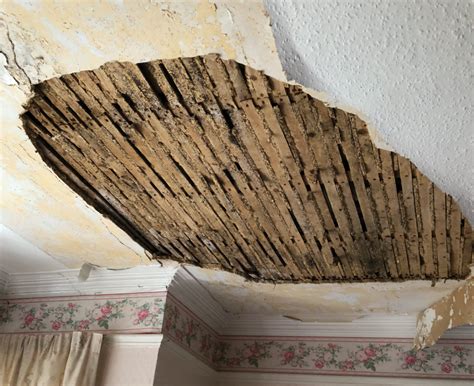 How To Repair A Plaster And Lath Ceiling Americanwarmoms Org
