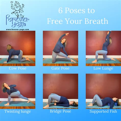 Pranayamas Yoga Exercises