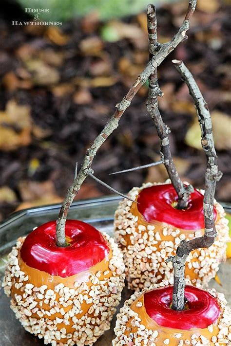 Learn step by step how to create beautiful sugar decorations to make your pastries more elegant. Making Faux Caramel Apples (For Fall Decor) - House of ...