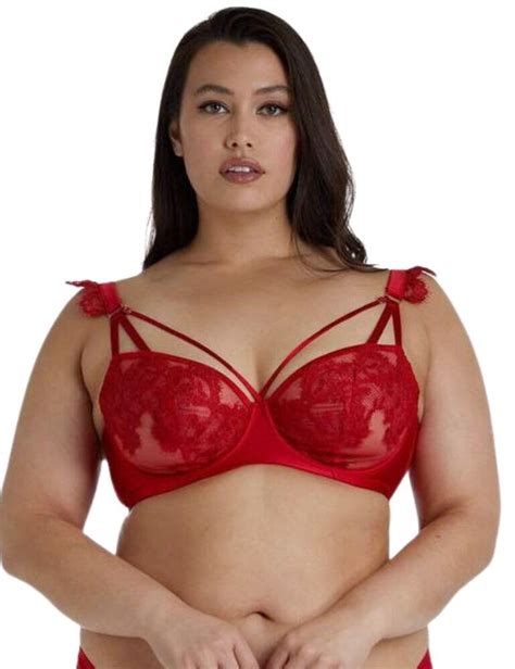 Playful Promises Anneliese Satin Net And Lace Bra Curve Belle