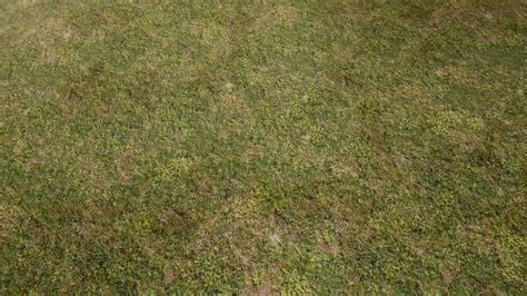 Natural Grass Texture Floor At Skyrim Nexus Mods And Community